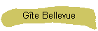 G�te Bellevue